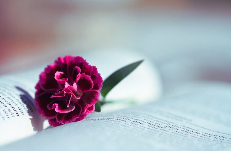 book with flower